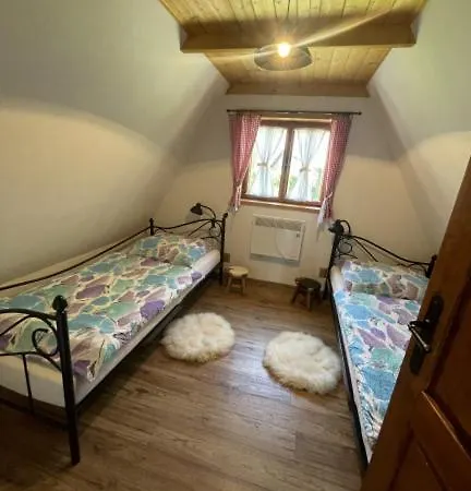 Country house Drevenica U Kobrtkov *